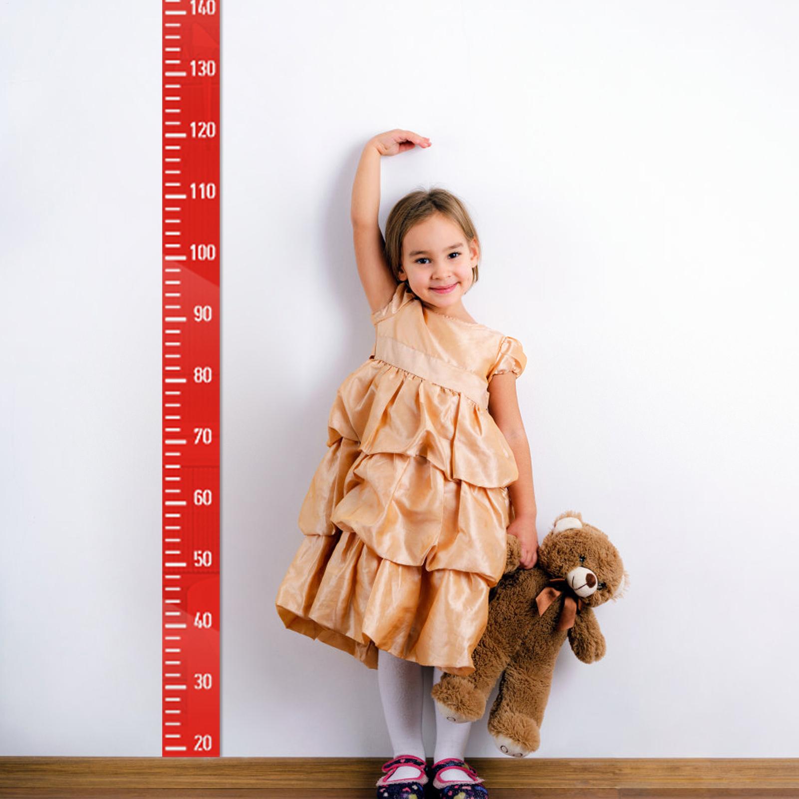 Growth Chart Wall Mirror Heigh - Growth Chart Ruler 리뷰 및 가격